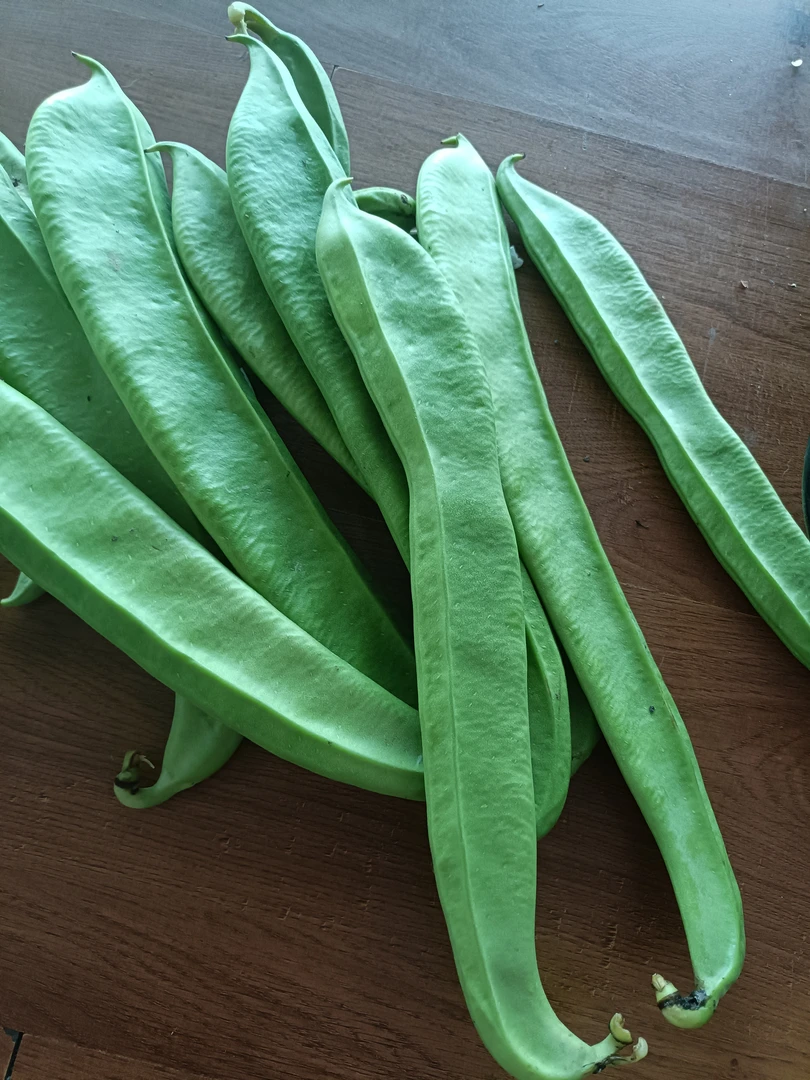 何老三代卖本地新鲜刀豆