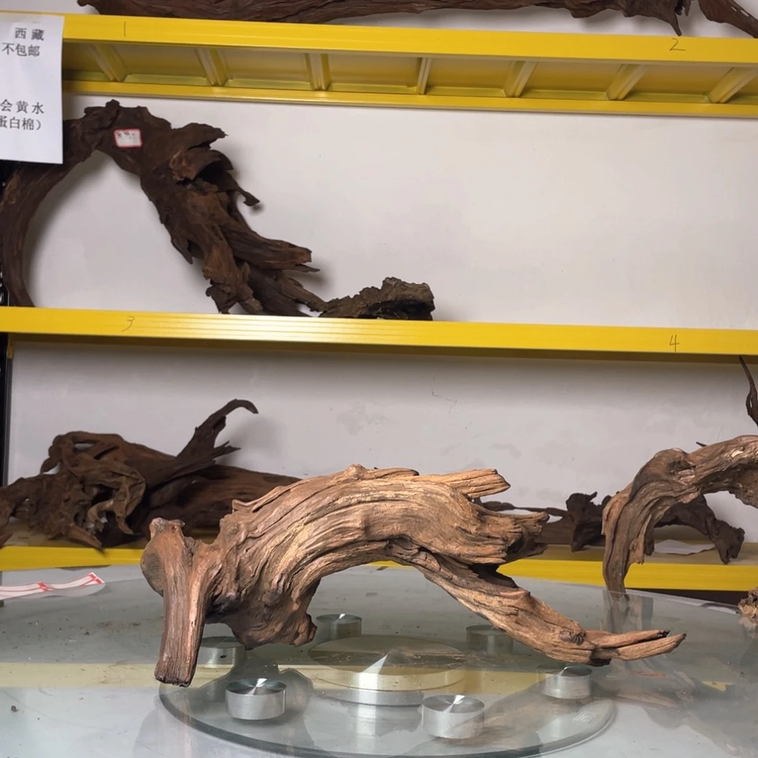 香榧木鹿*饼鱼缸造景紫柚木