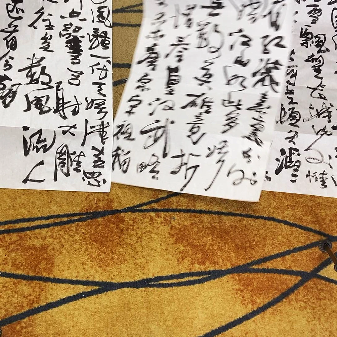 国画蚂*李雨轩手绘书法45.68