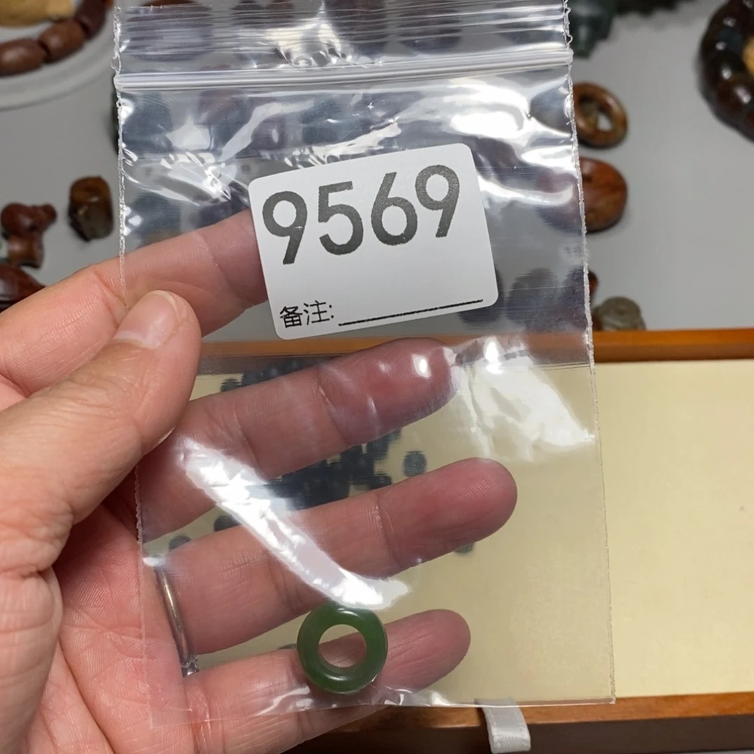 颈饰未镶嵌透闪石质玉琳*?