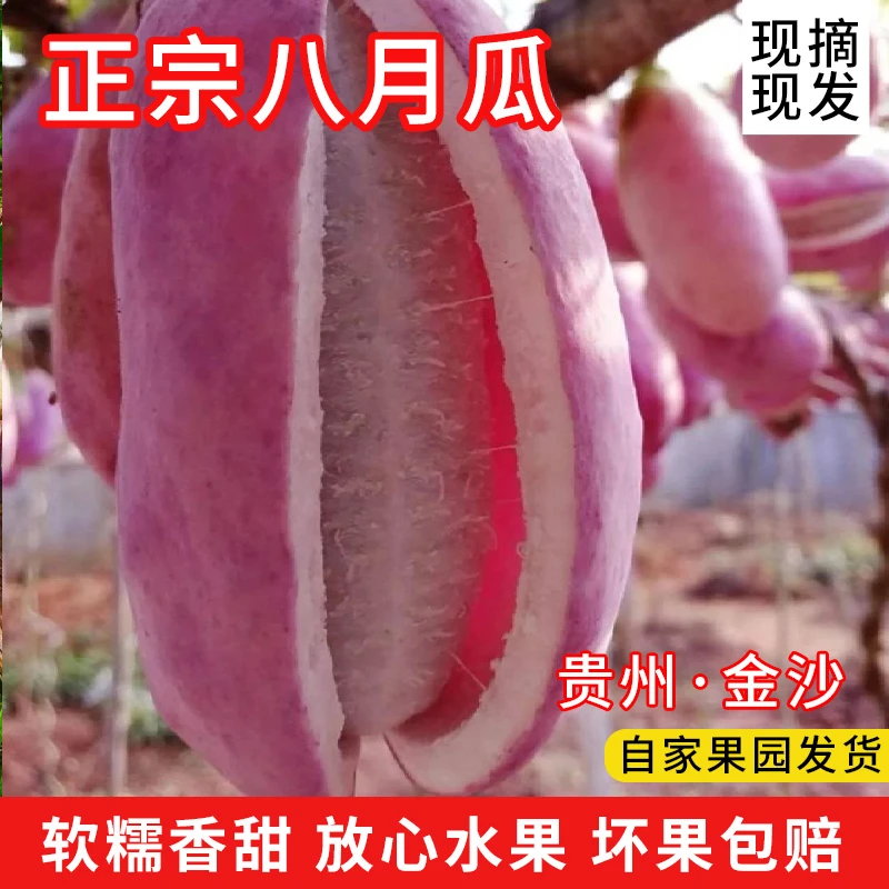 当季新鲜水果八月瓜贵州特产深山现摘软糯香甜八月炸瓜香蕉8月瓜