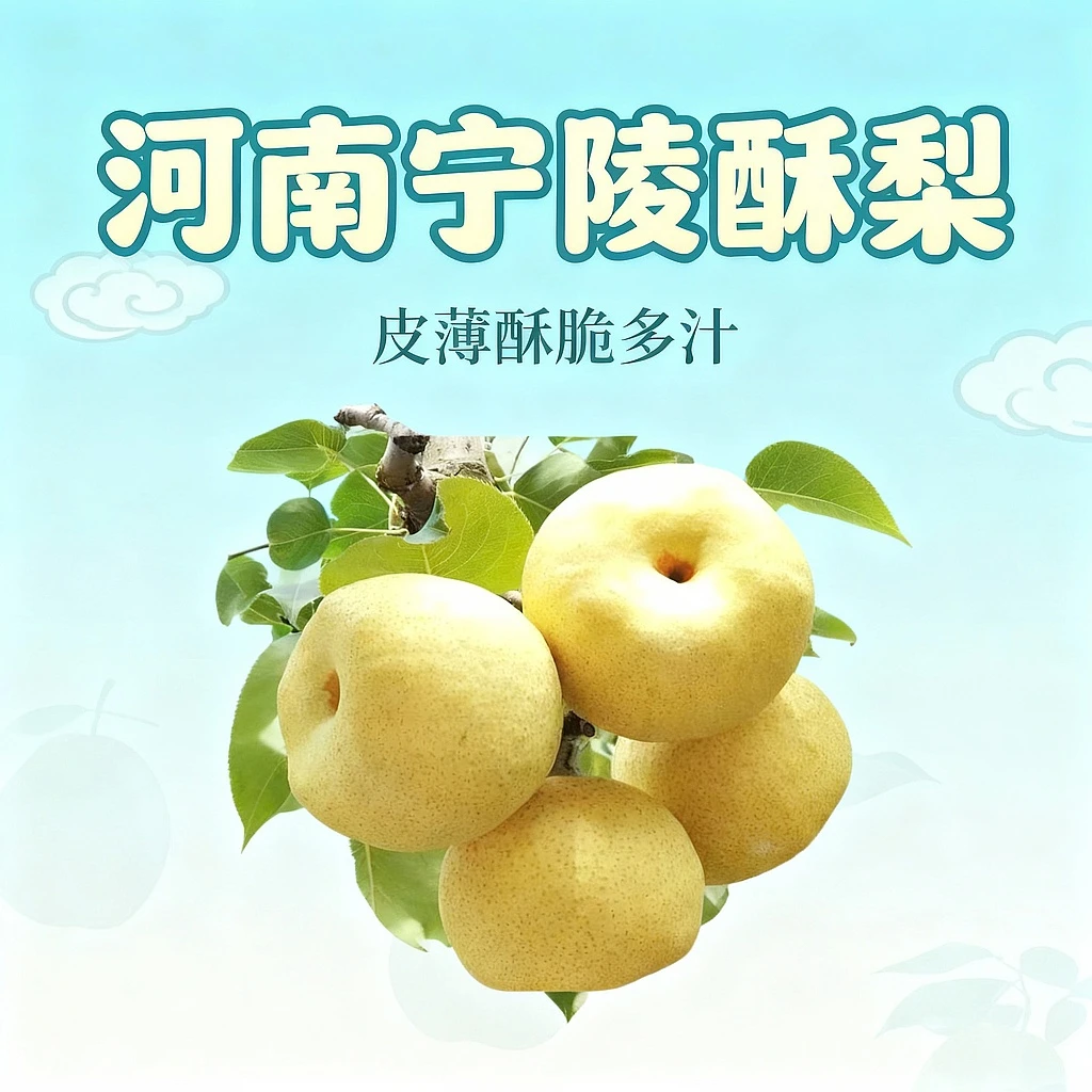宁陵酥梨现摘现发皮薄酥脆甘甜可口爽口多汁口感香脆