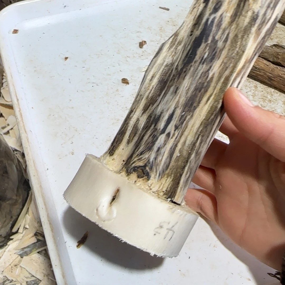 辛***源沉香碎屑沉香43号奇楠沉香原木一个凹身虫漏