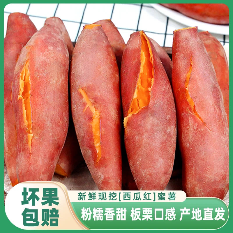 正宗超甜沙地蜜薯新鲜红薯红心糖心黄心番薯黄心板栗红薯地瓜批发