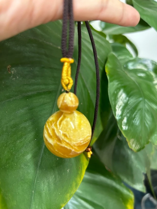 黄妖花锁骨珠多样性发其一