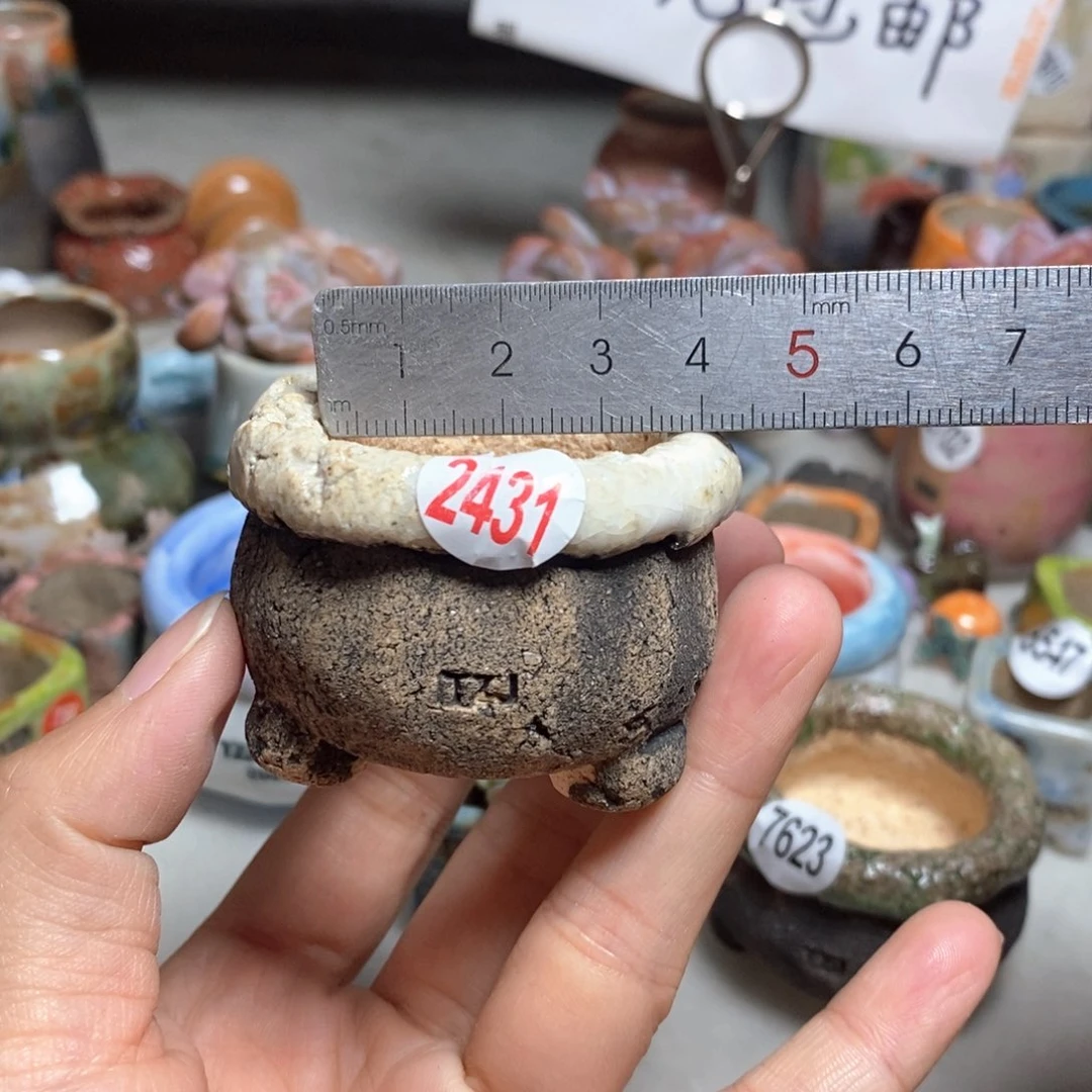 特价不退不换拍5送一个小礼物