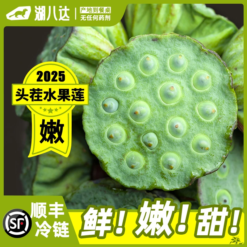 湖八达当季新鲜水果莲蓬现摘现发生吃清甜嫩莲子青皮莲子顺丰包邮