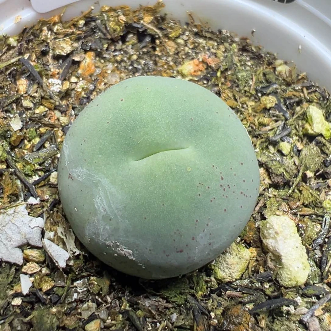 【闪购商品】 134。