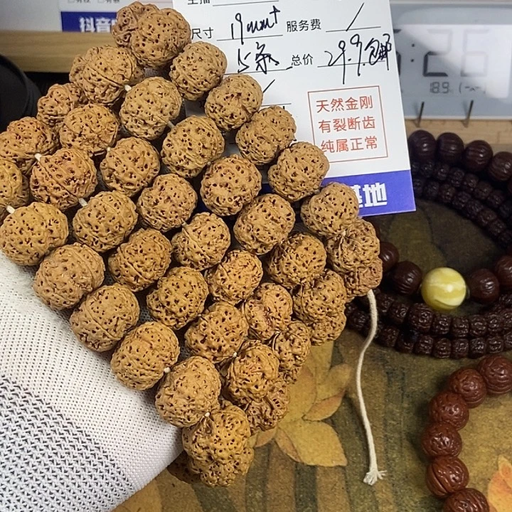 菩提蜂王矮桩大金刚