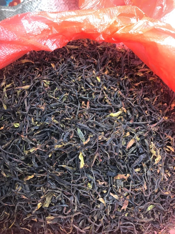 2025年，千年古树，单株，生普散茶