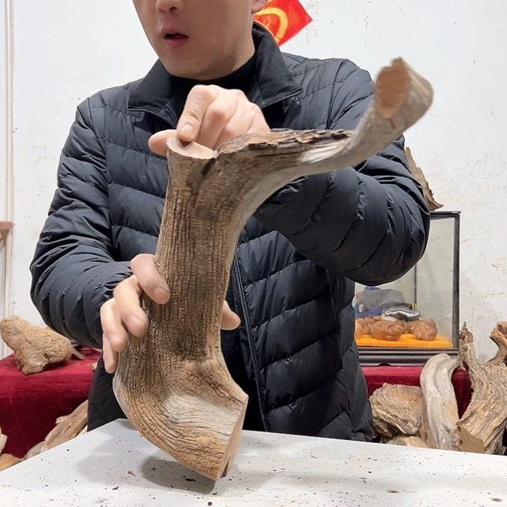 柏木启*我们的生活也是如此