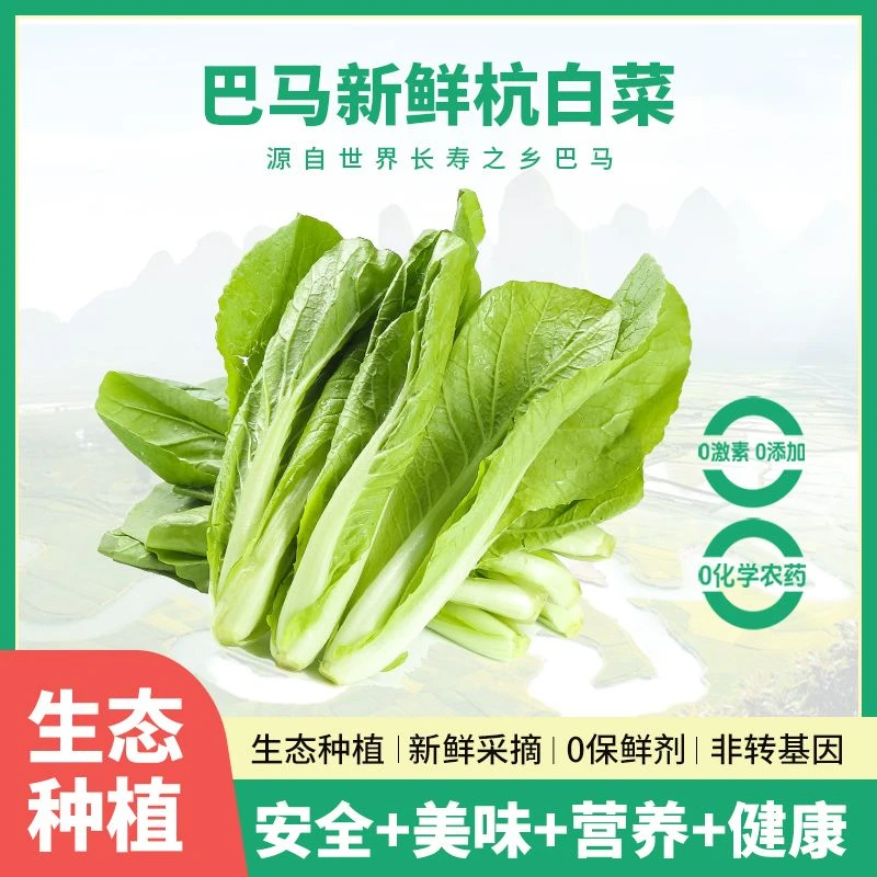 巴马长寿之乡 杭白4斤装（顺丰包邮）有机蔬菜健康好吃年货