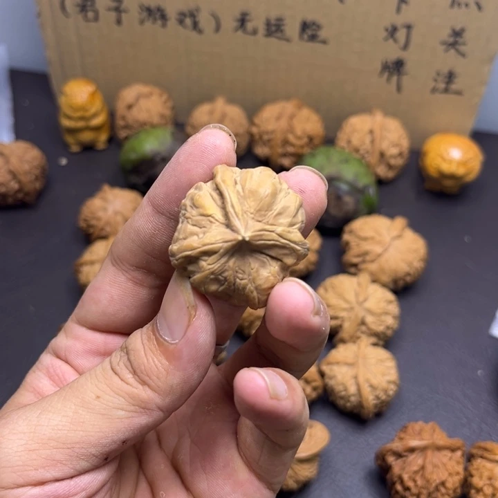 呵***呵菩提籽类蛤蟆头三棱有黄尖