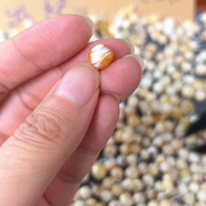 裸石蜜蜡未镶嵌8.1mm一个