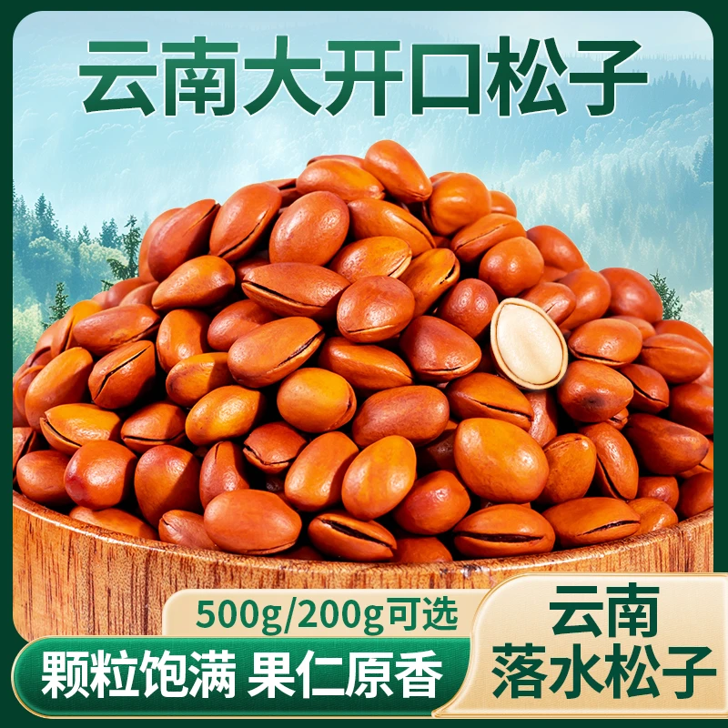 2024新货开口松子原味手剥大颗粒云南松子年货干果休闲零食年坚果