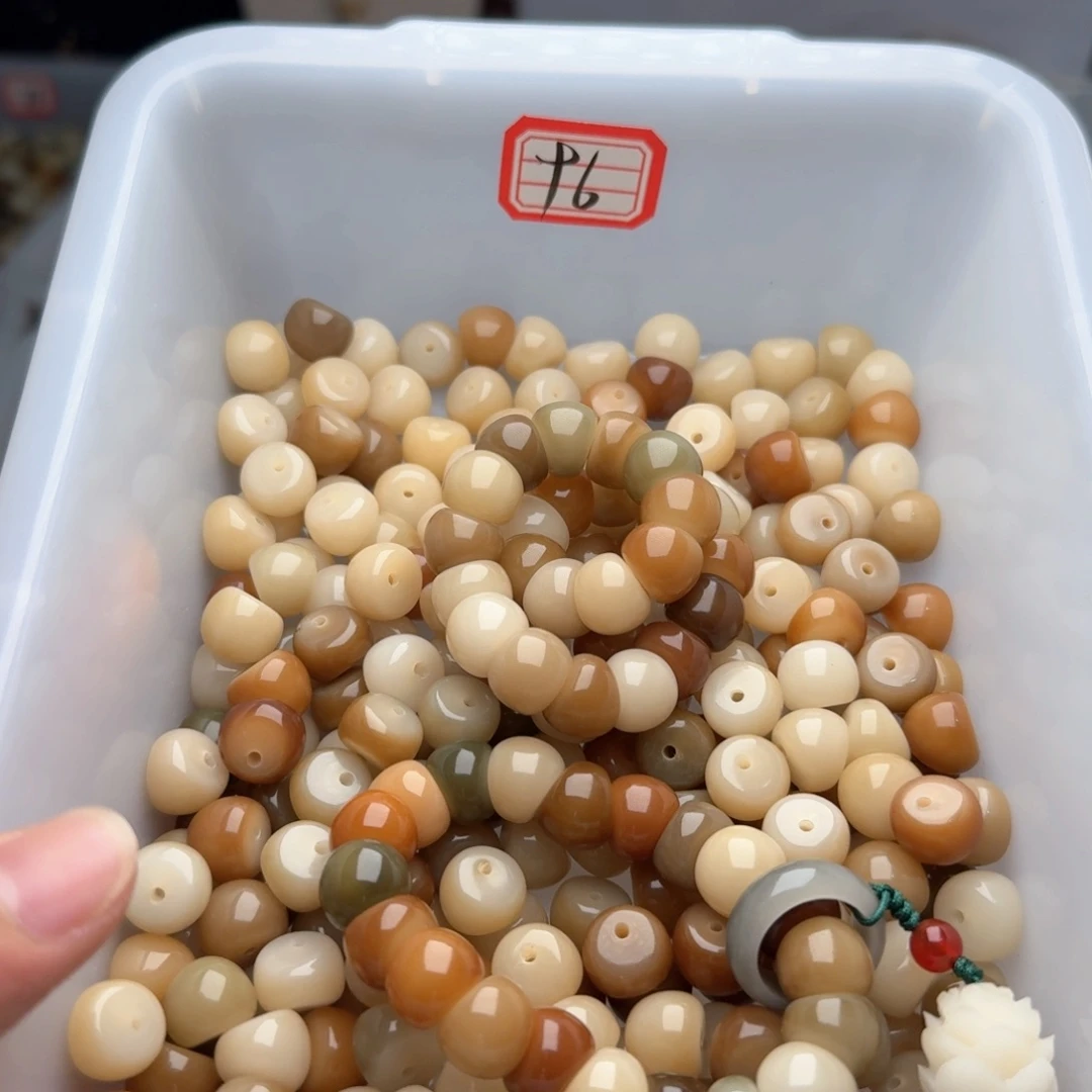 菩提根/象牙果吊坠50颗云梦蒜瓣12