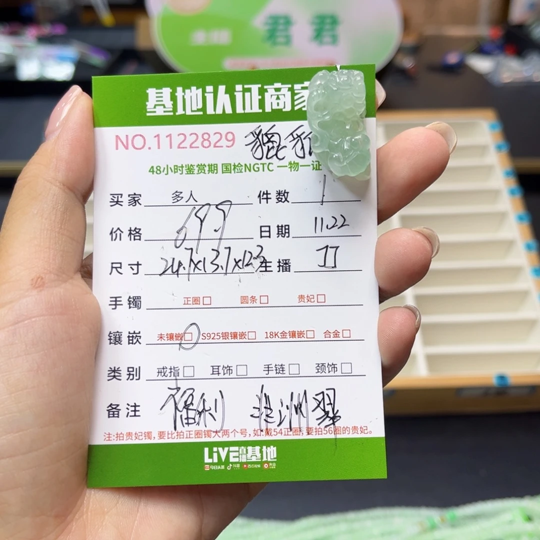 未镶嵌挂件翡翠貔貅