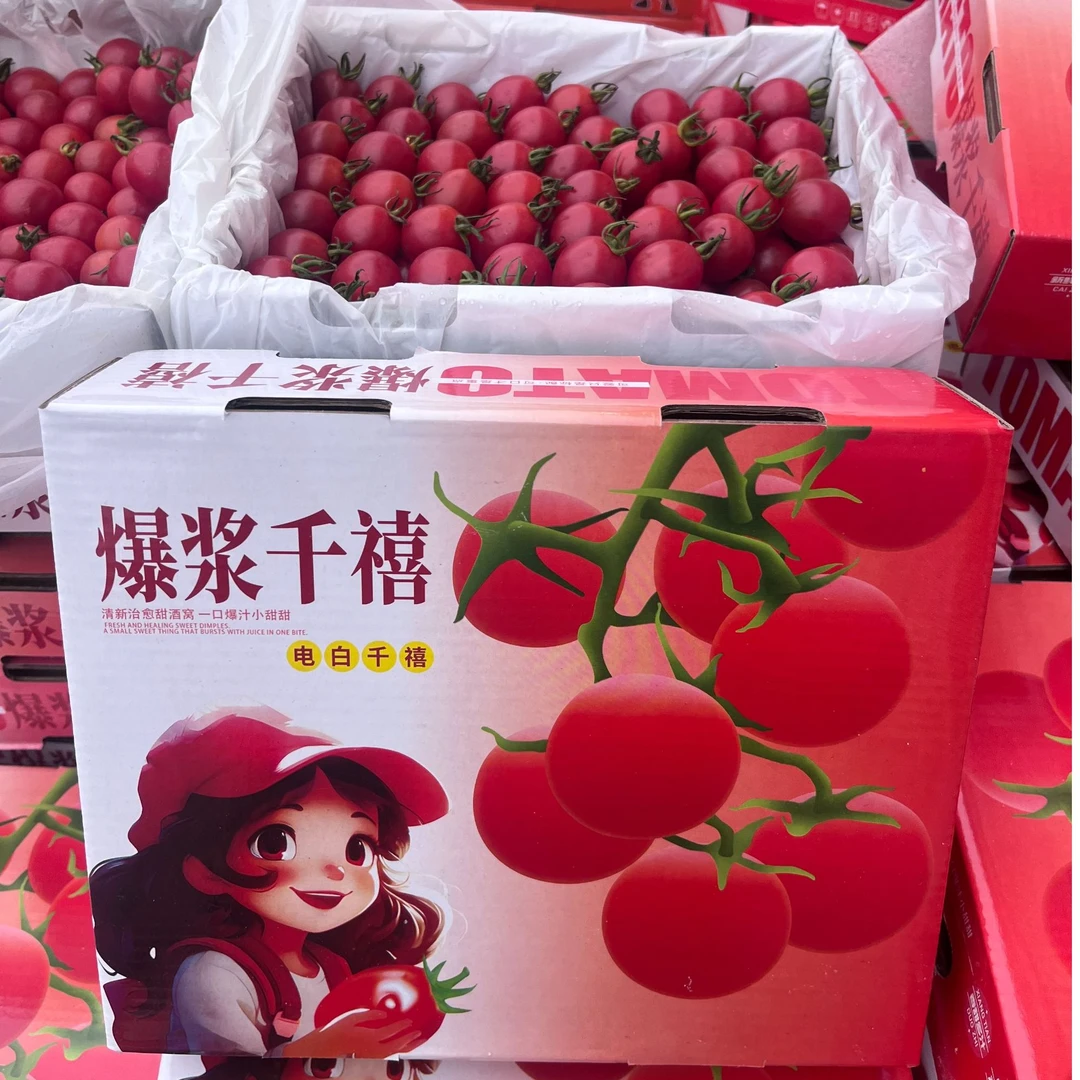 【陈氏阳光】当季新鲜正宗电白千禧果9甜1酸中小果带箱发货净重彩箱2.3斤装/4.5斤泡沫箱装千禧圣女果广东省