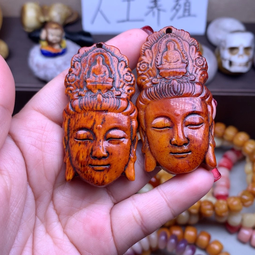 驼骨其他好看驼骨