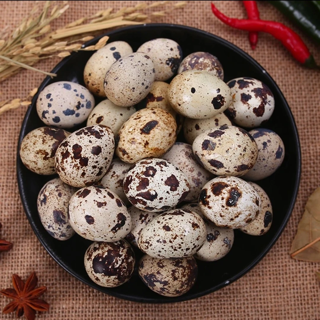 【超新鲜】新鲜农家鹌鹑蛋现捡现发破损包赔有保障营养丰富易吸收