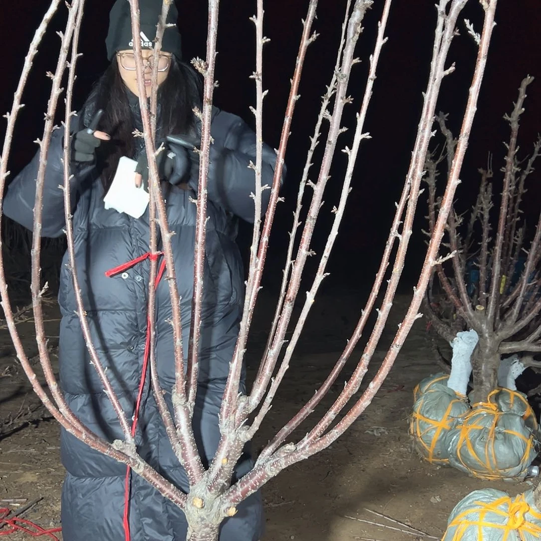 农***人直播间专拍直播间专拍