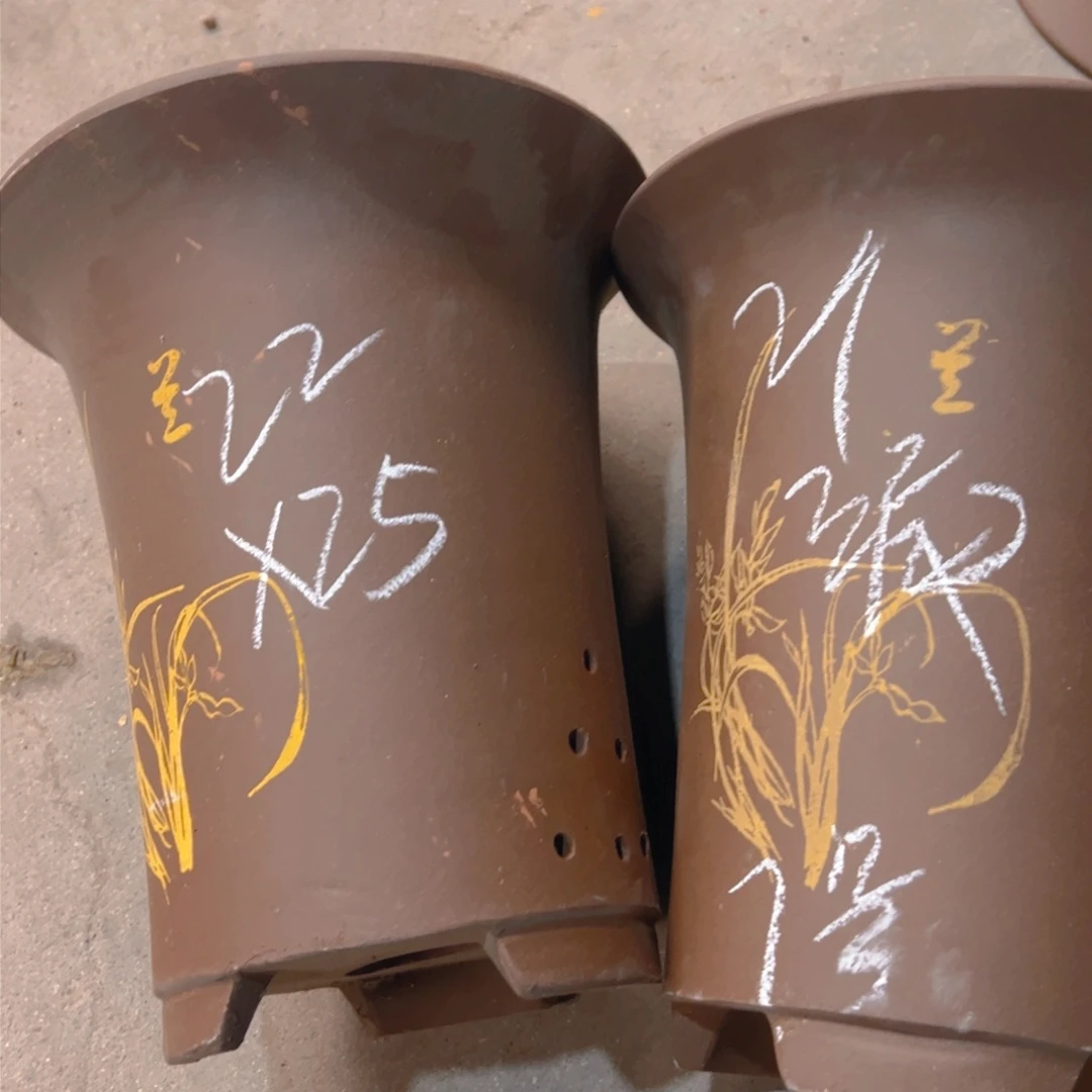 紫砂7号。。。。。………………………………