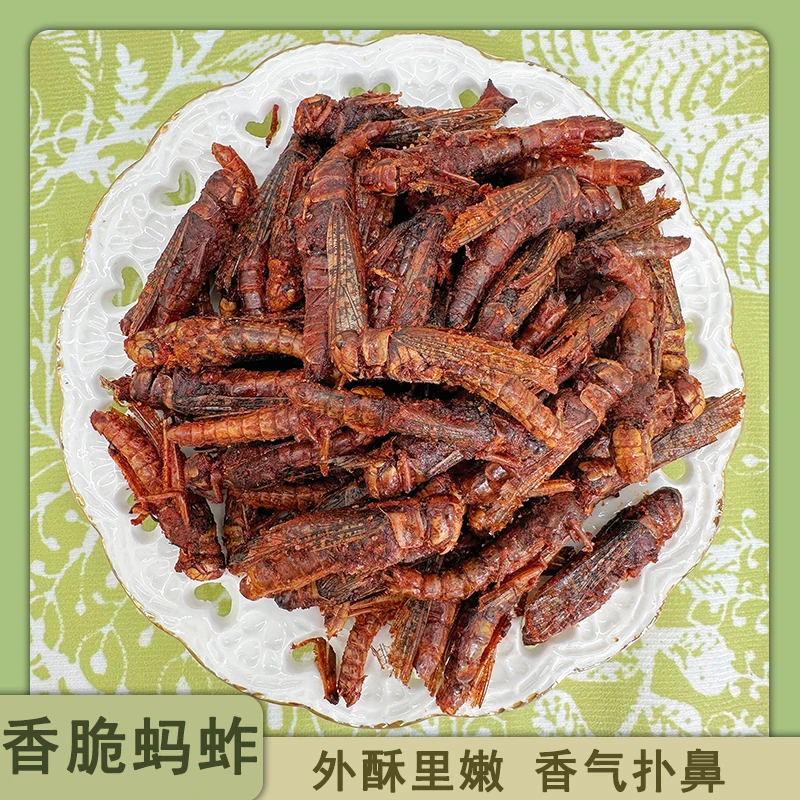 真空山东特产新鲜昆虫美食带翅香酥蚱蜢香脆油炸蝗虫食用下酒菜
