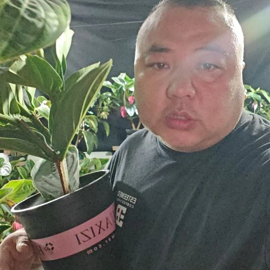 快***达宝莲灯花基地发现