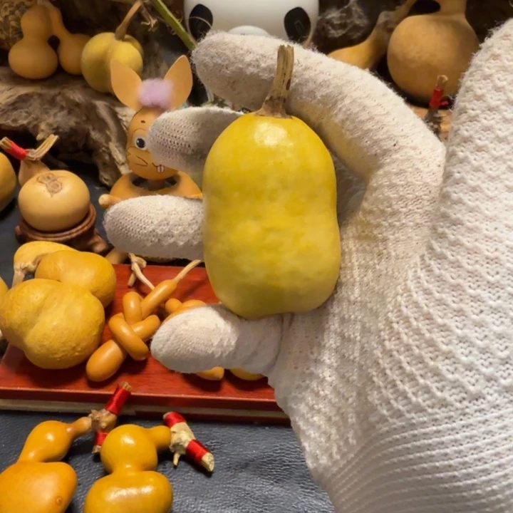 璞***緣6666………………………………