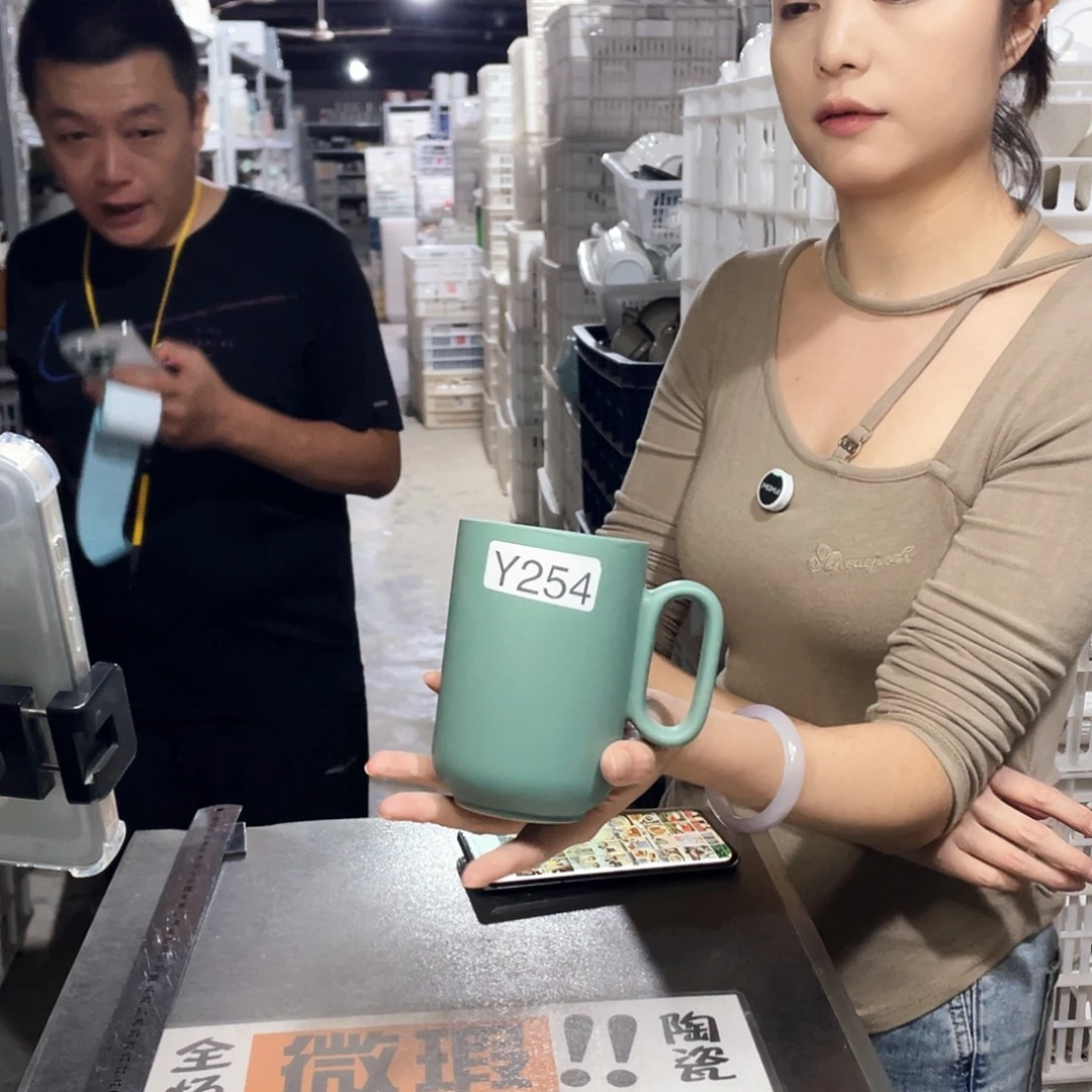 瓷片254             4个