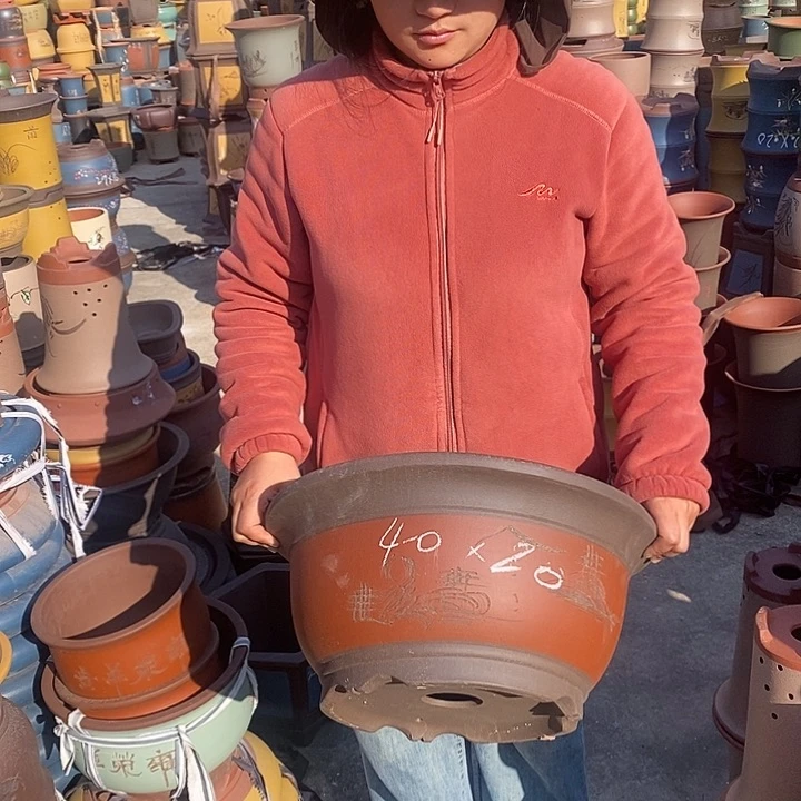 紫砂花盆紫砂花盆盆栽花卉苗木