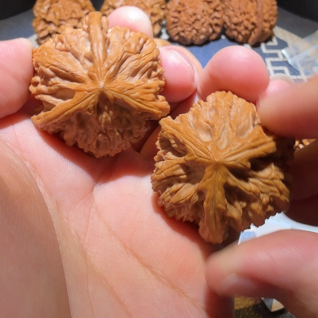 文玩核桃把件御龙