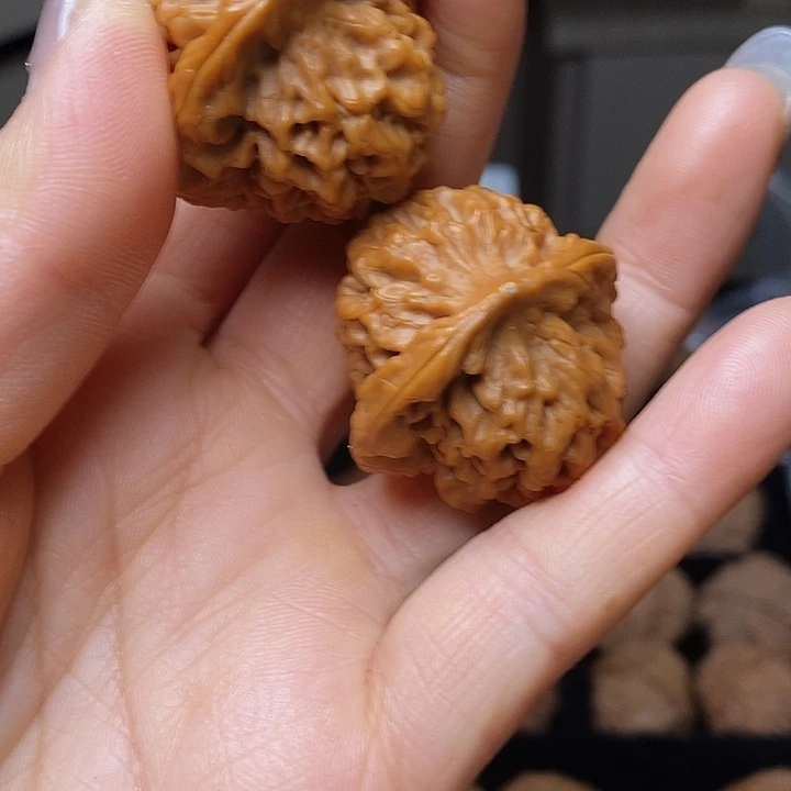 文玩核桃把件C****n秦岭秦闷