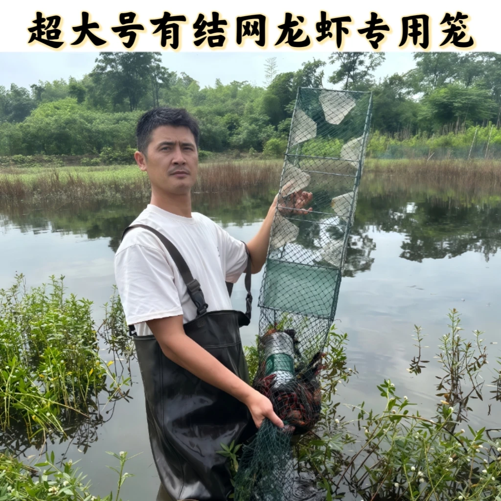 新款加粗骨架超大号龙虾笼有结网龙虾专用笼爆款龙虾 抓龙虾
