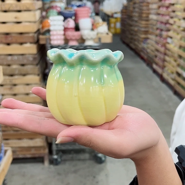 花盆有孔！凑满10米包由！