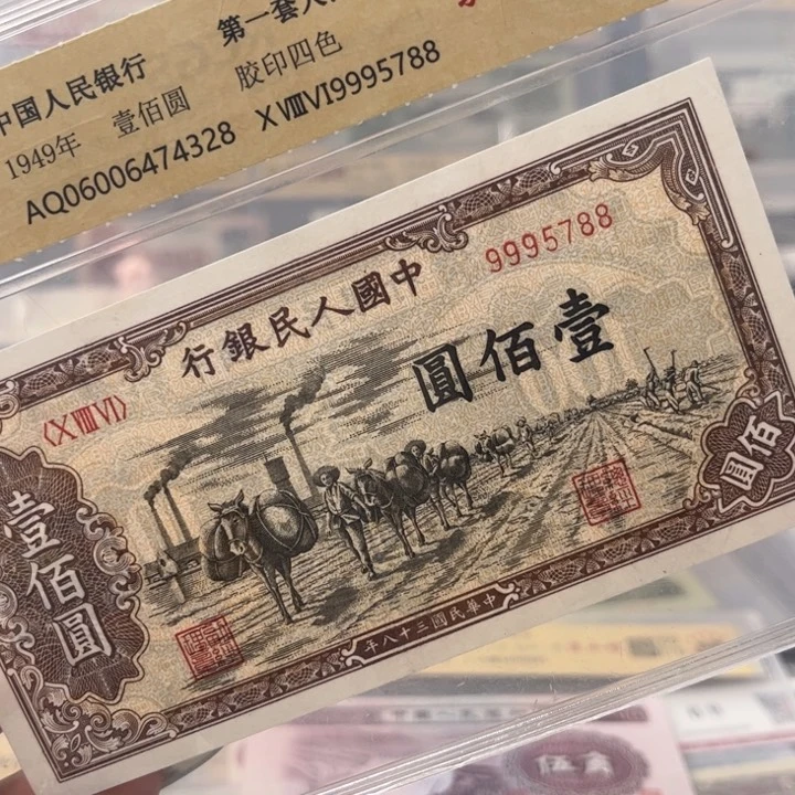 用****8999驮运100元