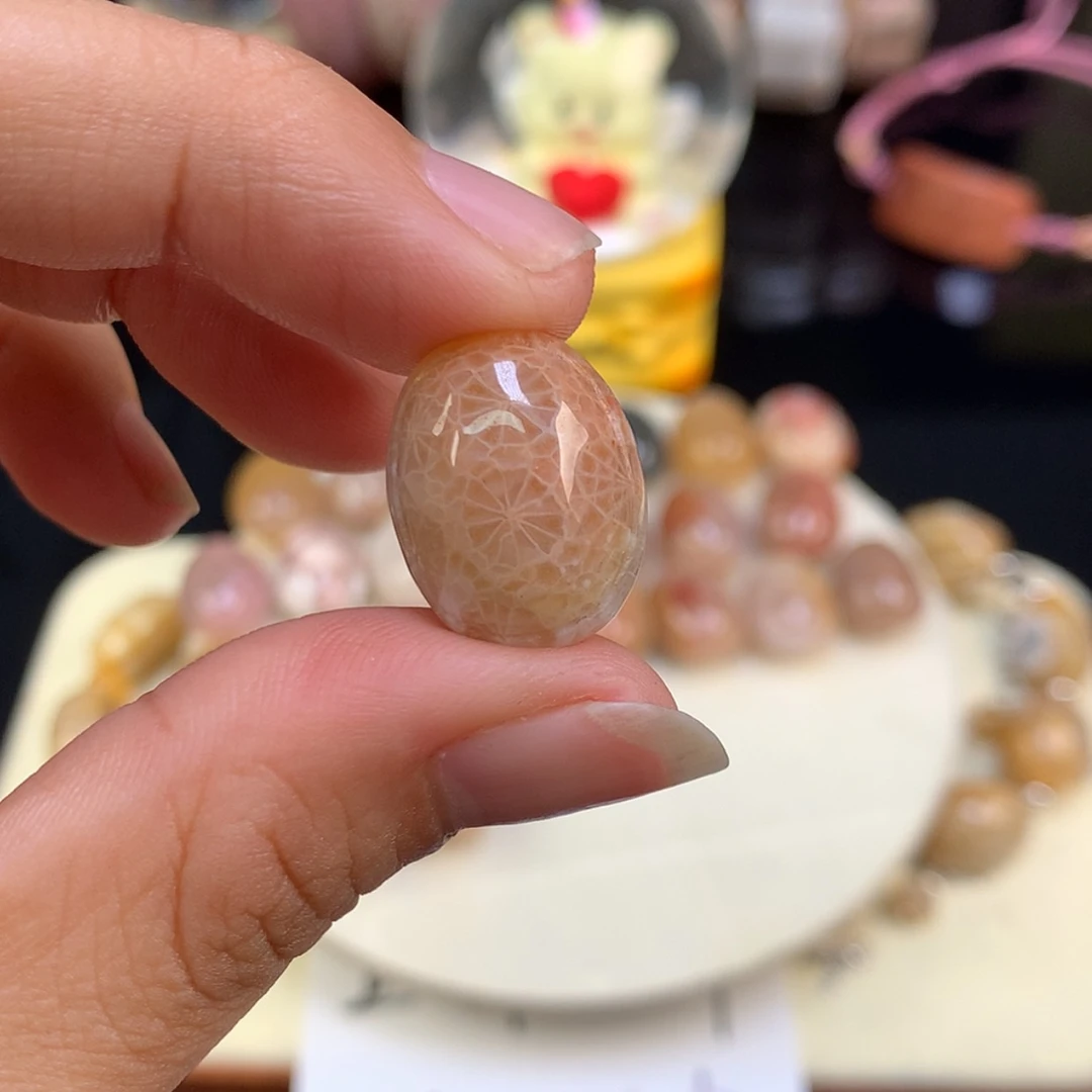 【闪购商品】颈饰未镶嵌硅化珊瑚（珊瑚玉）尼**姐