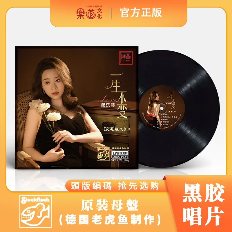 乐道唱片杨乐婷《一生不变》LP大黑胶，黑胶机专用