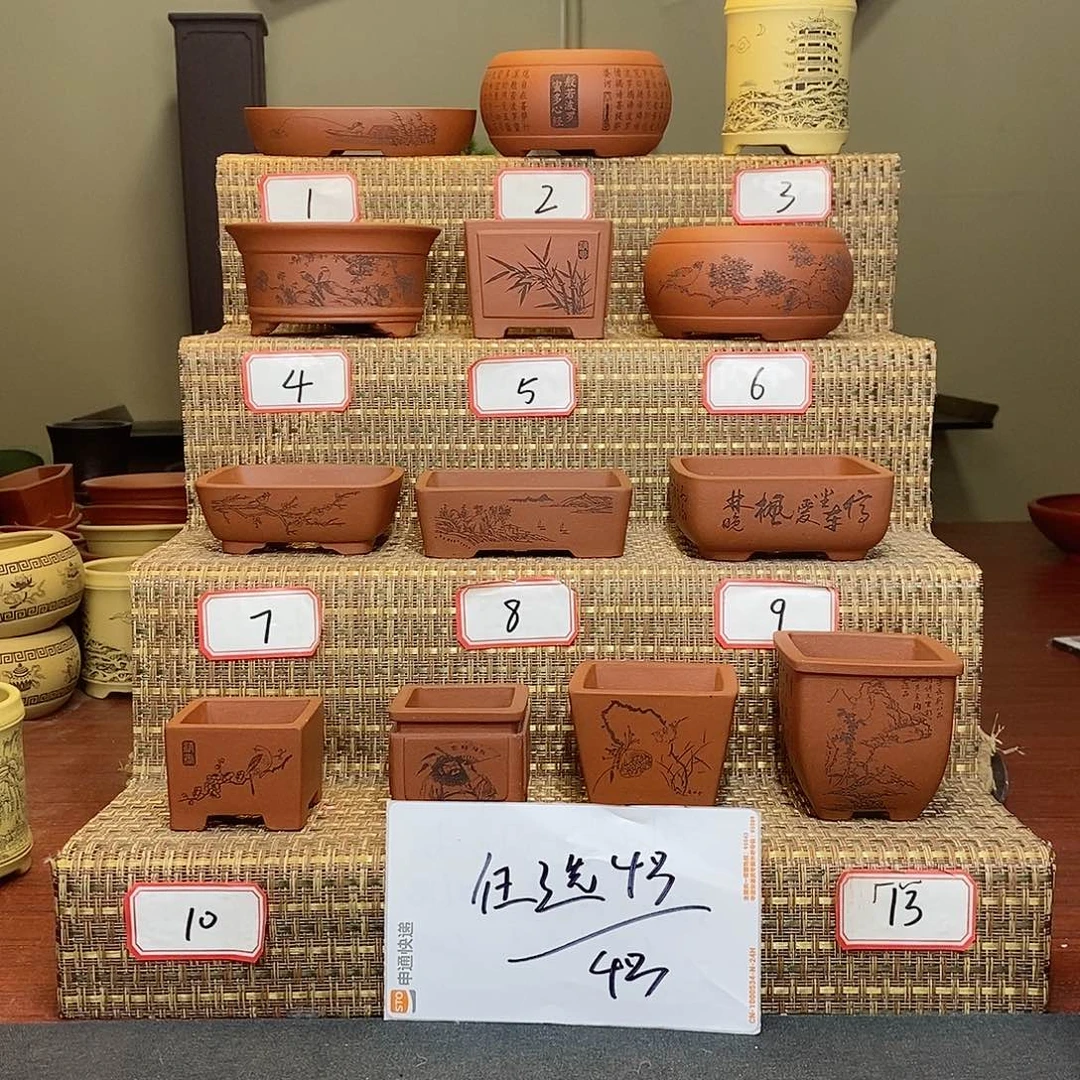 紫砂花盆我在等他