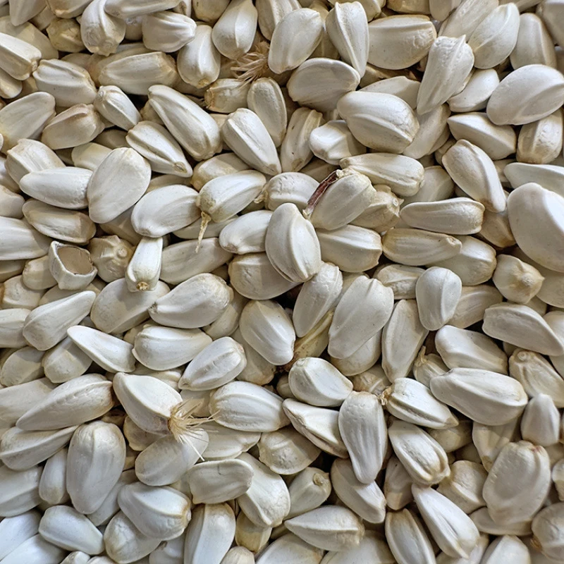 红花籽 红花子鸟食鸟粮鸽粮玄凤牡丹太阳虎皮仓鼠包邮5斤