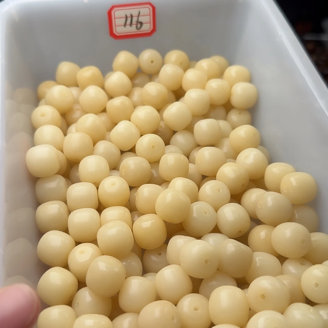 吊坠菩提根/象牙果20颗奶咖14桶