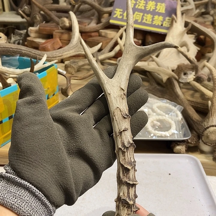 北***i大叶紫檀（黑酸枝木类）