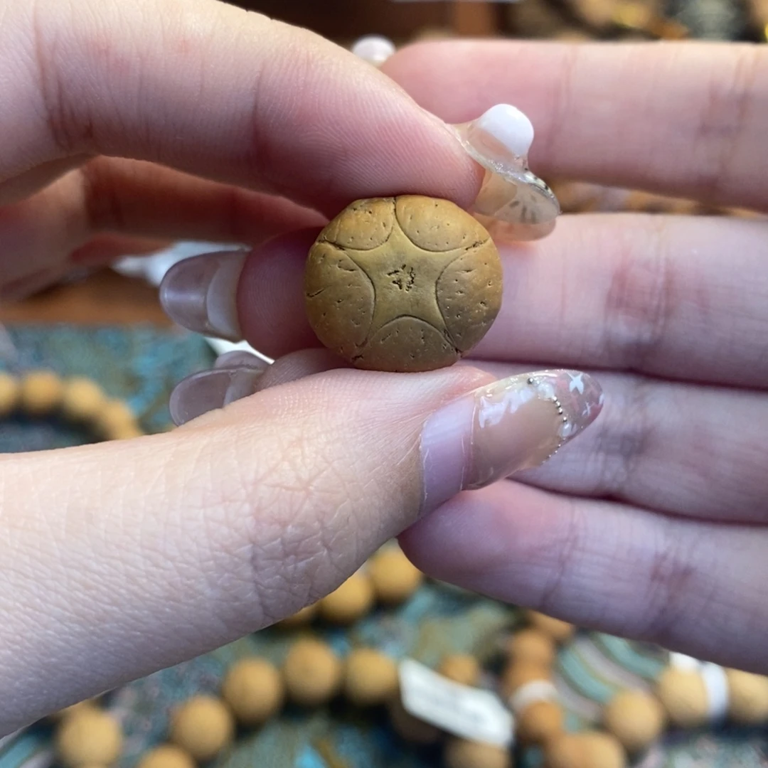 凤眼菩提吊坠五星