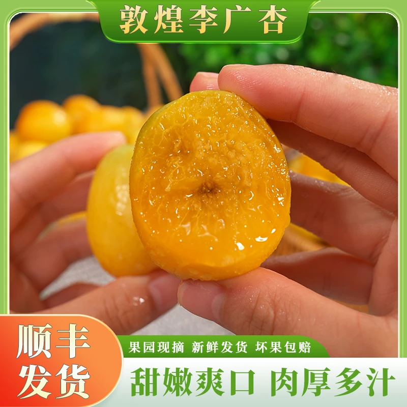 【顺丰】甘肃敦煌李广杏新鲜应季水果甜杏黄杏香甜多汁现摘1斤起