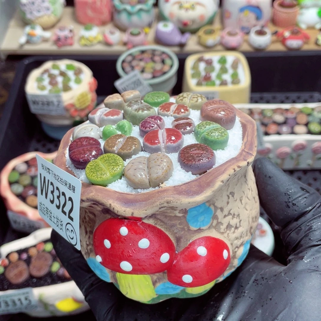 夜间零下地区拍保温箱w3322