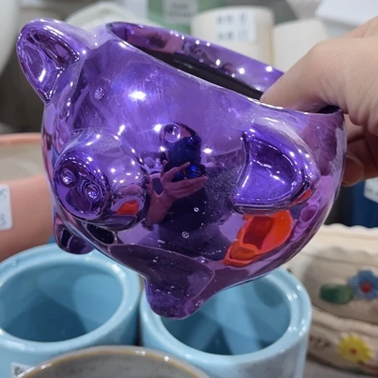 多肉绿植陶瓷花盆9.9包邮，有孔