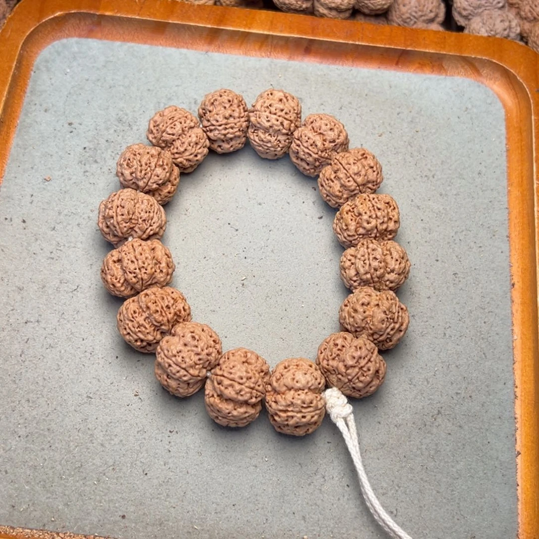 菩提25号金刚菩提矮桩梅花22