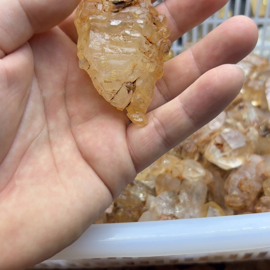5***6石材马岛的油胆骸骨