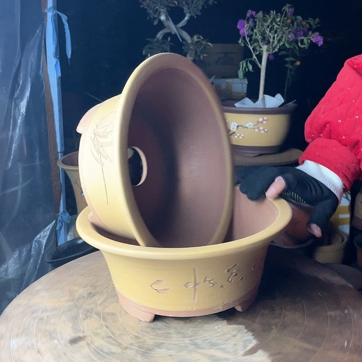 紫砂27/27黄票口花盆