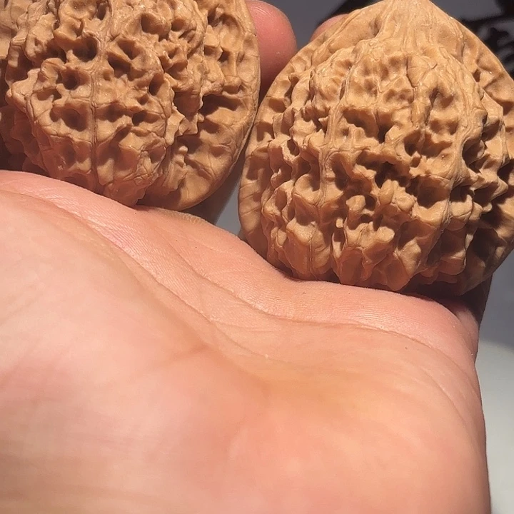 核桃联手对官帽45尺